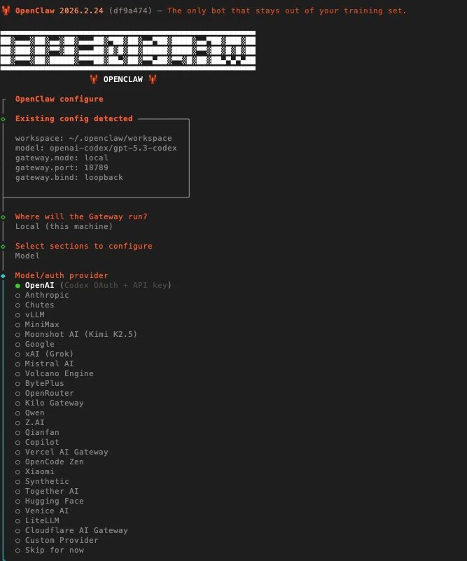 OpenClaw configure — LLMモデル選択画面。OpenAI・Anthropic・Google・Mistral等25種類以上から選択できる